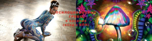 прущие крисы Вязьма