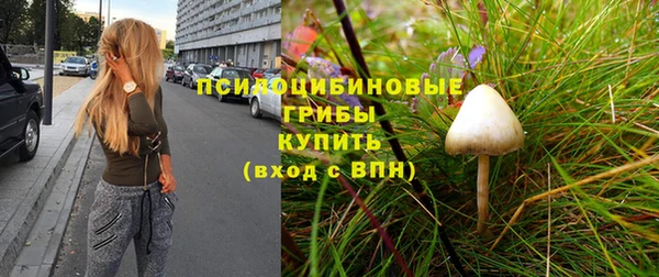 прущие грибы Володарск