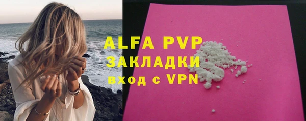 шишки Верхний Тагил