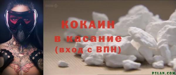 прущие грибы Володарск